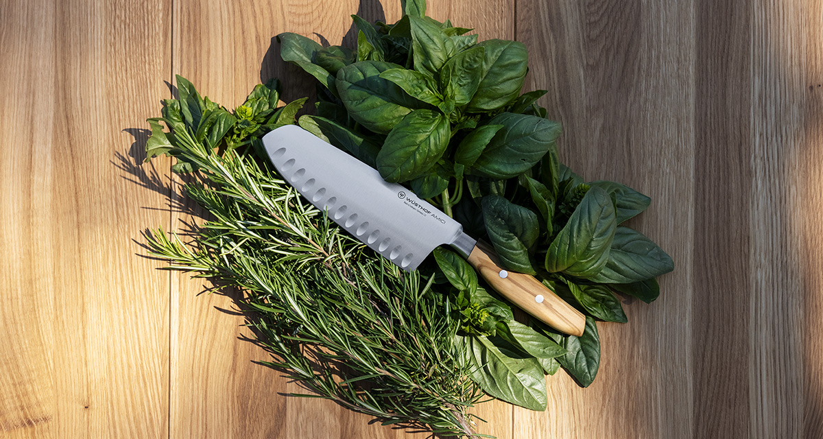 우스토프비주얼