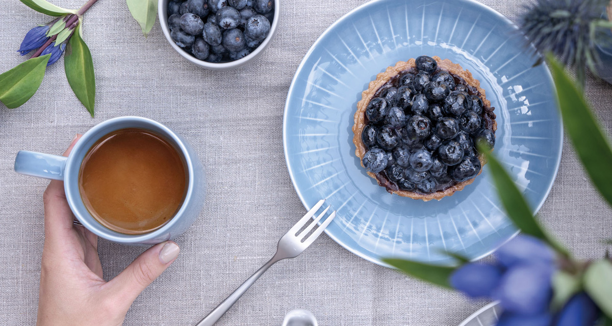 알쯔버그 비쥬얼